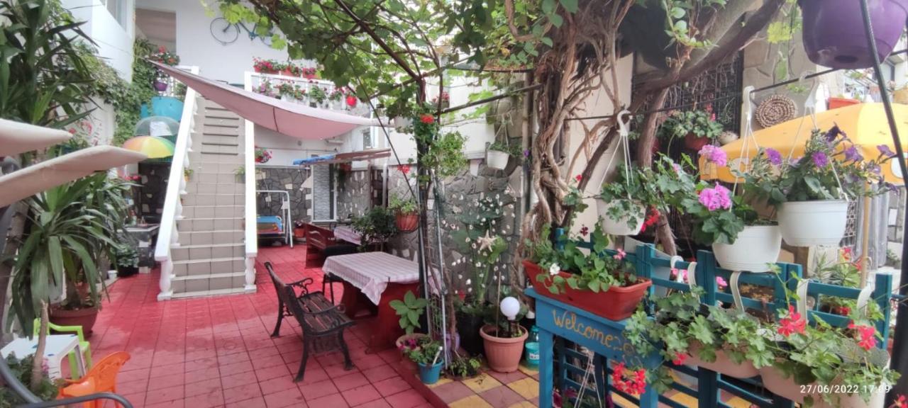 Vila Traian Si Teodora 코스티네스티 외부 사진